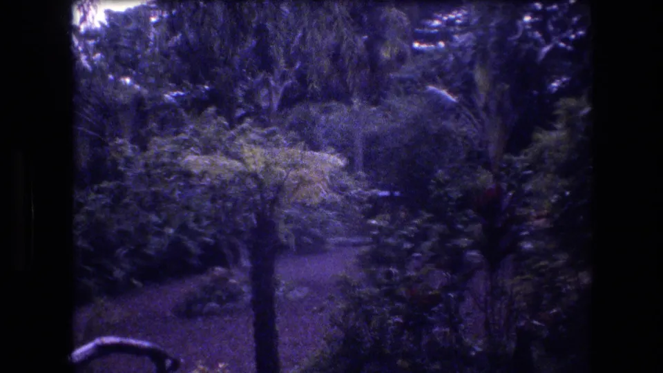1977 Honolulu 8mm frame showing dense tropical planting around a narrow garden walkway near the pond area.