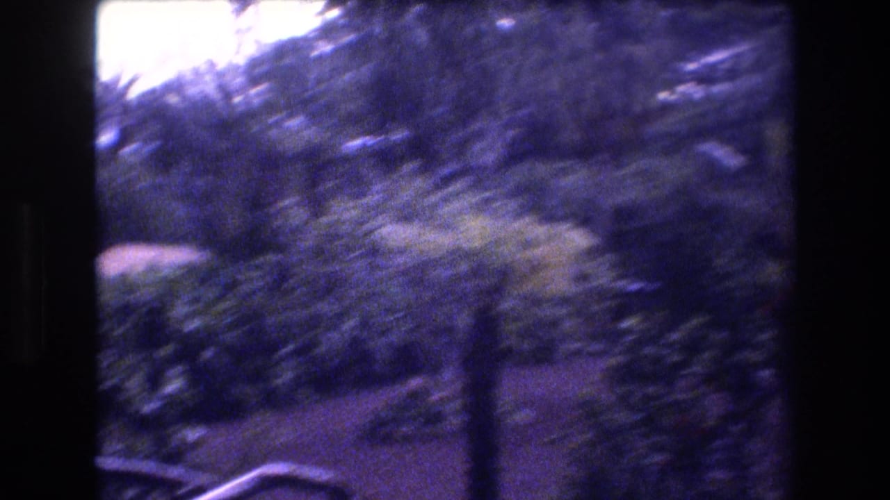 Handheld 1977 Honolulu home-movie frame showing dense tropical plants, tree trunks, and a faint garden path with strong purple film cast.