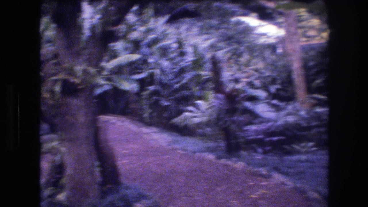 1977 Honolulu home-movie frame showing a reddish dirt path curving through dense tropical foliage and trees in a landscaped garden setting.