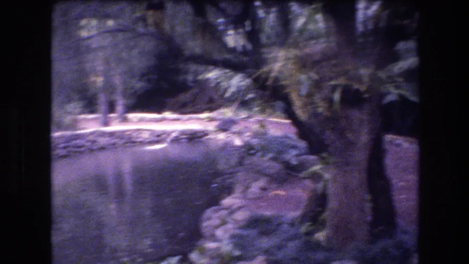 1977 Honolulu home-movie frame showing a small pond edged with rocks, trees, and tropical planting in a shaded garden landscape.