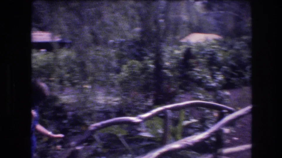 1977 Honolulu, Oahu home-movie frame with a person partly obscured by tropical foliage, pale branches, and dense landscaped greenery.
