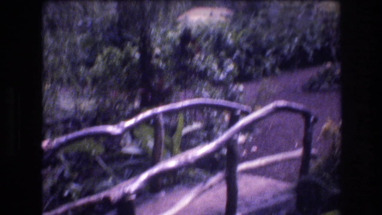Soft 8mm frame from the Honolulu, Oahu clip showing a curved rustic wooden bridge over a garden path amid dense tropical plants.