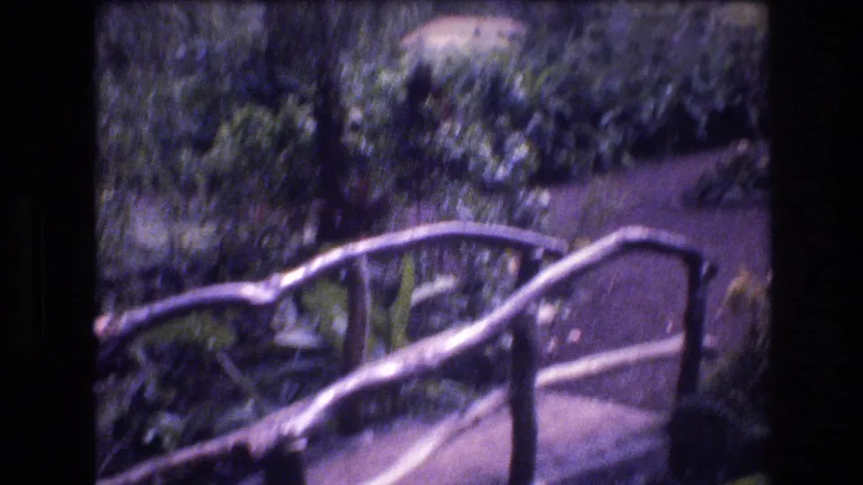 Soft 8mm frame from the Honolulu, Oahu clip showing a curved rustic wooden bridge over a garden path amid dense tropical plants.