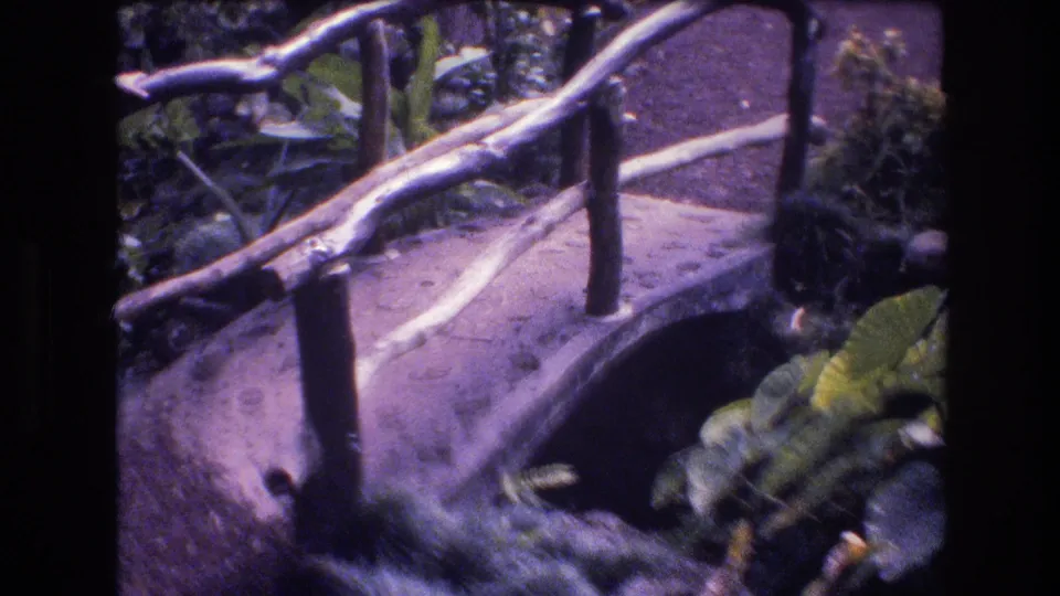 A closer 8mm view of the rustic bridge rail and garden walkway in the Honolulu tropical garden setting.