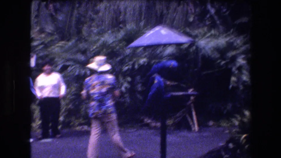 A man in a straw hat and patterned shirt stands with another visitor near a vivid blue macaw on a perch under a small blue umbrella in the tropical garden.