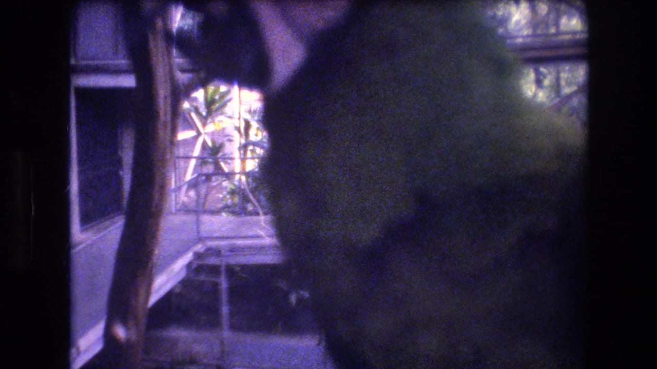 1977 Honolulu 8mm frame showing a green parrot close to the camera, partly obscured by blur and frame edge, with an enclosure and foliage visible behind it.
