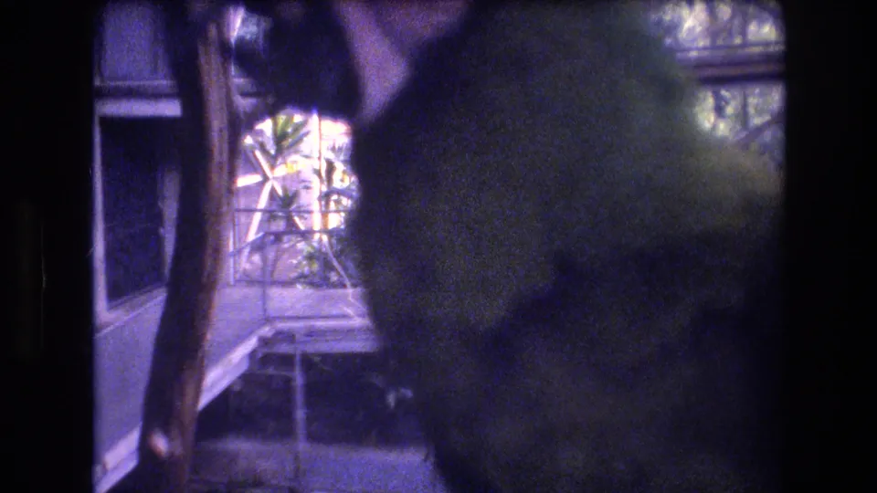 1977 Honolulu 8mm frame showing a green parrot close to the camera, partly obscured by blur and frame edge, with an enclosure and foliage visible behind it.