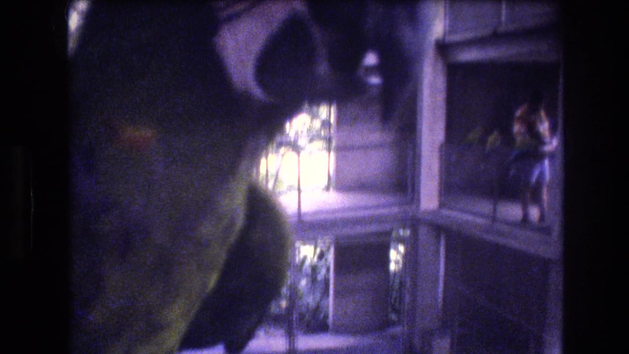 A parrot appears in dark partial silhouette near vertical enclosure bars, with a multi-level windowed structure and a distant visitor figure visible in the background.