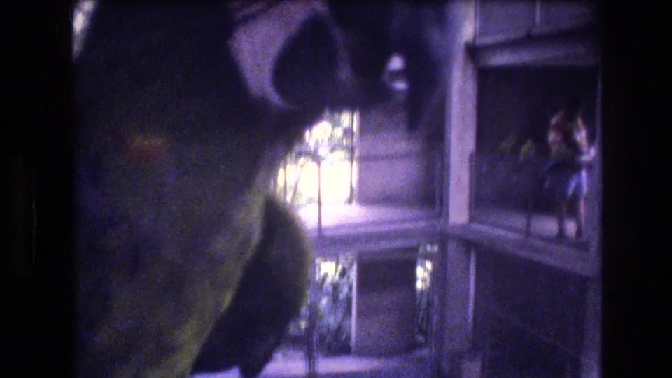 A parrot appears in dark partial silhouette near vertical enclosure bars, with a multi-level windowed structure and a distant visitor figure visible in the background.