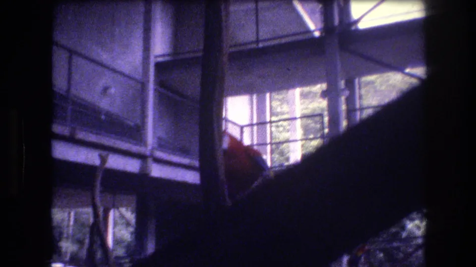 The camera frames the aviary-like building structure, showing railings, windows, posts, and dark foreground shapes as the parrot moves mostly out of view.