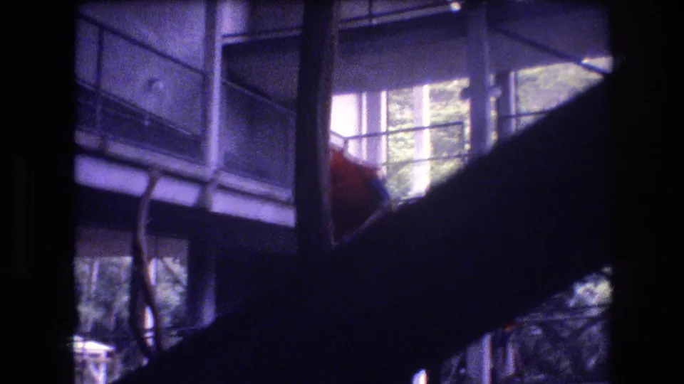 A red and green parrot is partially visible near the lower left of the frame beneath metal railings and windowed enclosure walls in the Honolulu 1977 home-movie scene.