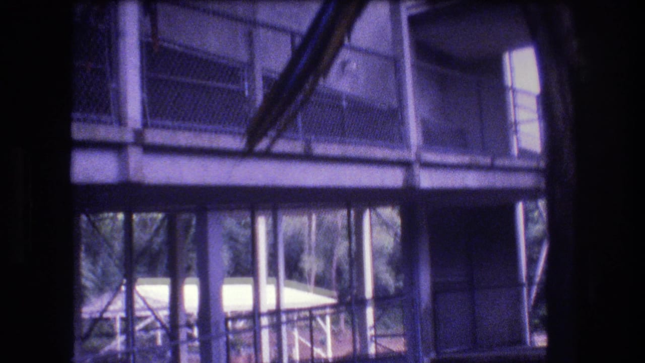 Metal railings, mesh or glass panels, vertical posts, and shaded structural elements fill the aviary view in this 1977 Honolulu home-movie frame.