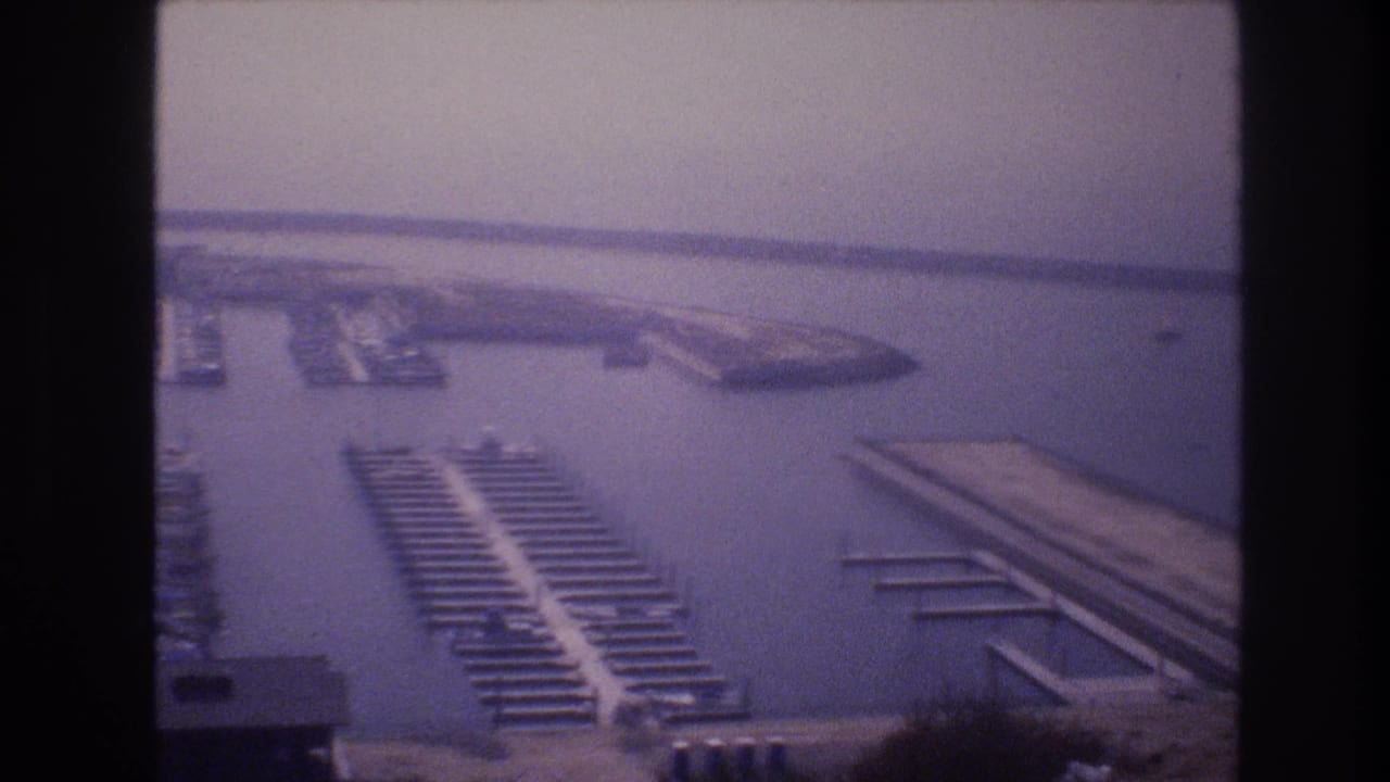 Aerial view of marina docks with rows of moored boats and calm water.