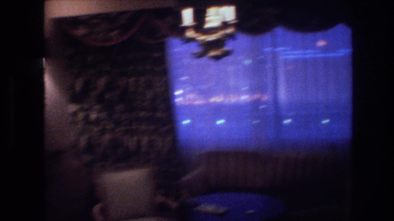 8mm film frame from 1977 showing heavy dark curtains flanking a vivid blue window glow, possible chandelier above, dark upholstered furniture below.