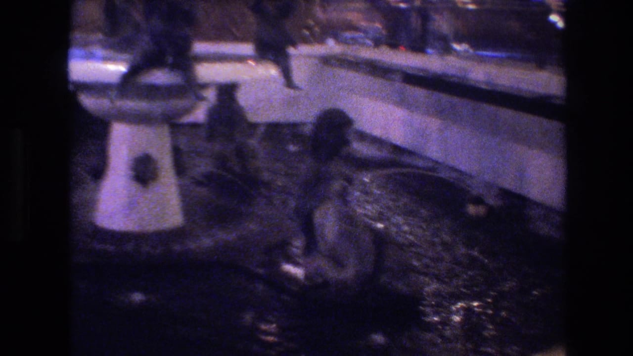 Night fountain area with pedestrian silhouettes near a white fountain base, dark reflective pavement, blue-toned 8mm frame.