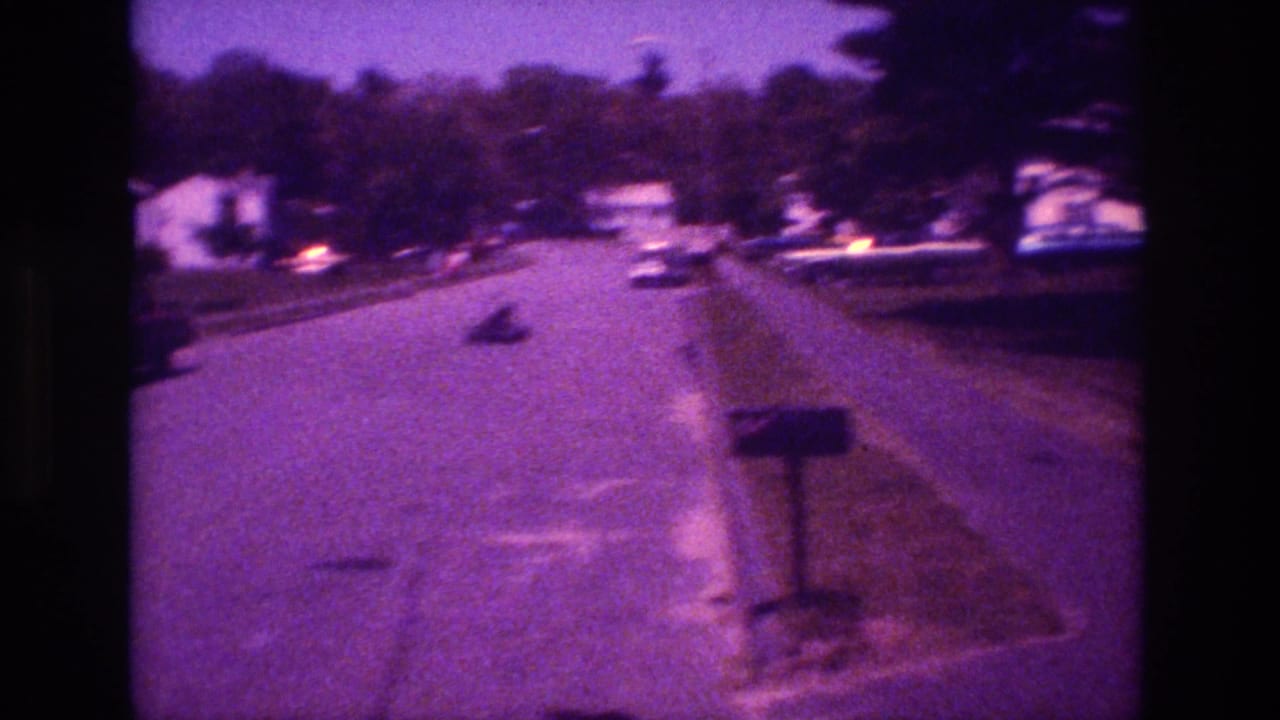 Purple-tinted suburban street with houses, parked cars, mailbox, and a small dark object in the road.