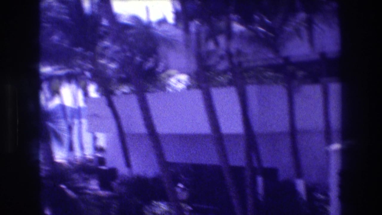 Purple-shifted 8mm home movie frame circa 1982 showing tall palm trees against what appears to be a resort building facade, likely Acapulco.