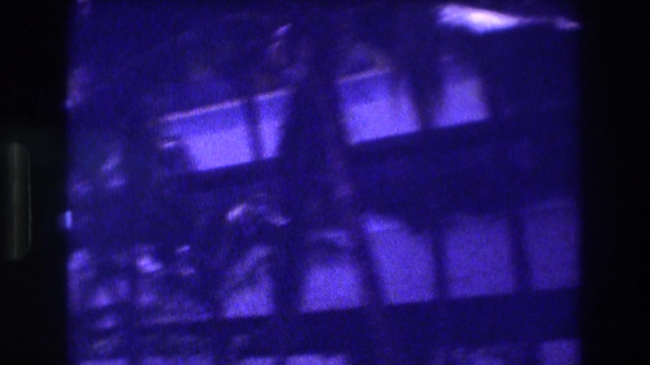 Heavily color-shifted 8mm frame from what may be Acapulco, 1982, showing silhouetted palm fronds against a dark purple-blue sky and a latticed building structure.