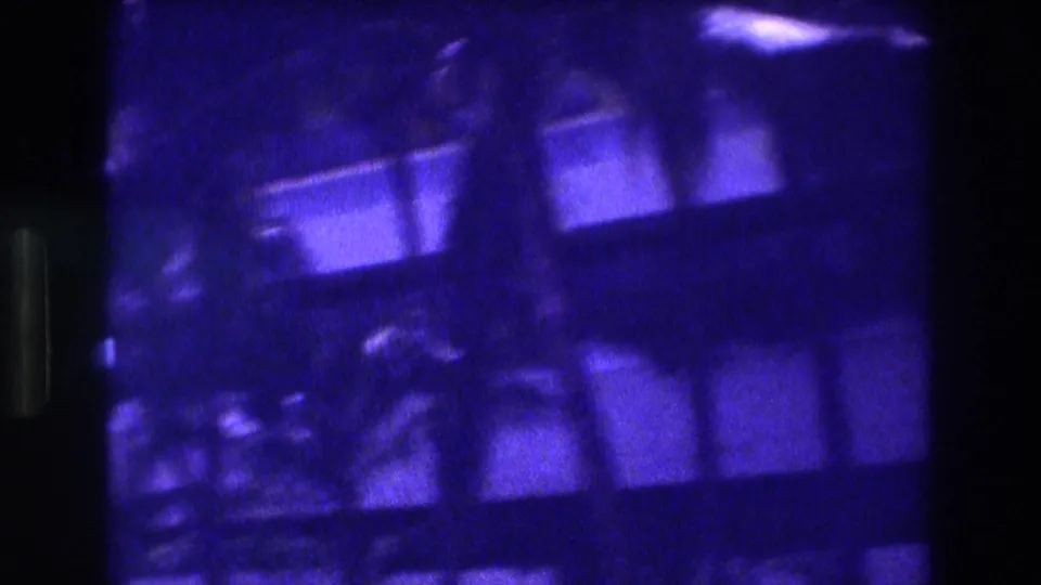 Heavily color-shifted 8mm frame from what may be Acapulco, 1982, showing silhouetted palm fronds against a dark purple-blue sky and a latticed building structure.