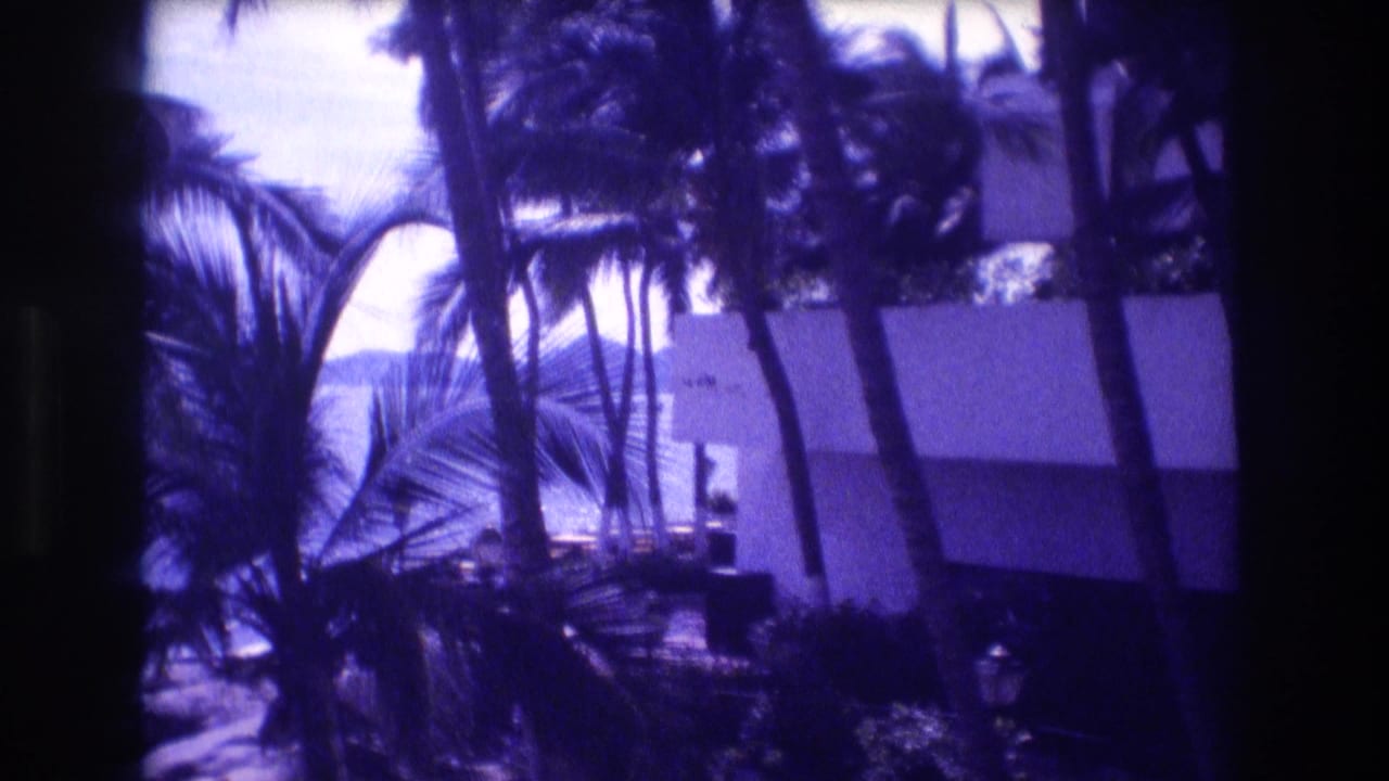 Palm tree trunks and fronds in foreground, white building wall behind, pale overcast sky and water visible in background.