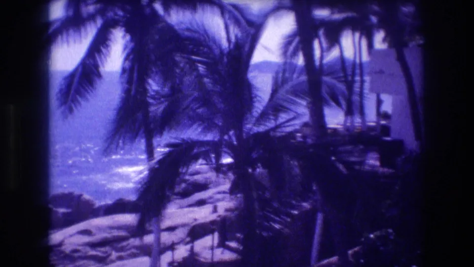 8mm footage showing palm trees bending in wind over a rocky tropical shoreline, likely Acapulco 1982, with choppy coastal water and a small unidentified object at the base of the palms.