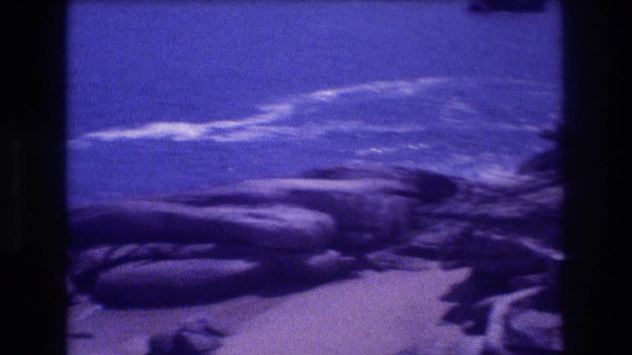 Mid-pan 8mm frame from Acapulco, Mexico, circa 1982, showing large dark boulders dominating the rocky coastline with open ocean above and a palm frond at the right edge.