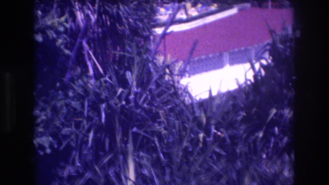 Tropical foliage in foreground with a red-roofed resort building partly visible behind, heavy purple color cast from aged 8mm film.