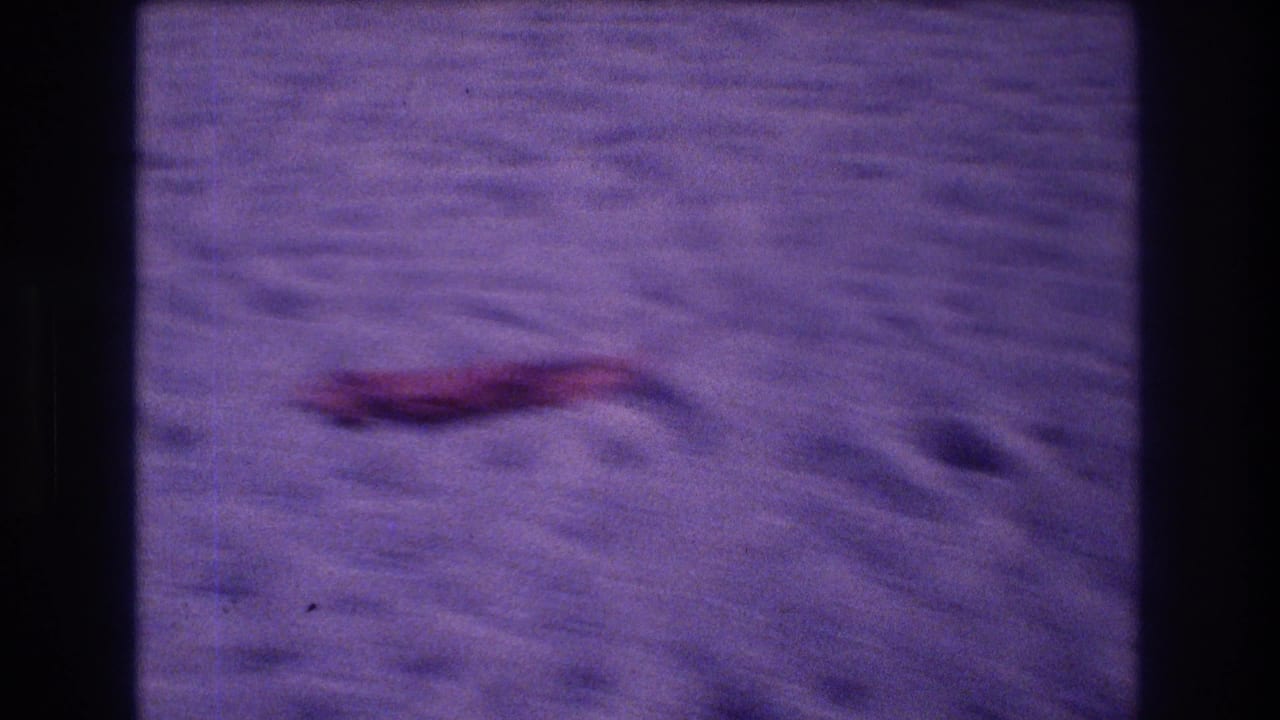 Purple-tinted beach sand with an unidentified red object; transitional frame from an 8mm home movie filmed at Acapulco, Mexico, 1982.