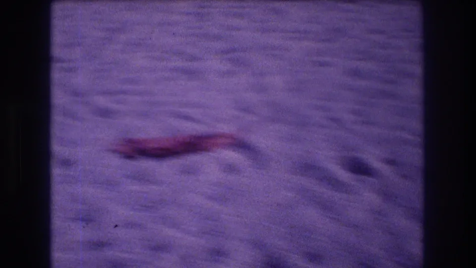 Purple-tinted beach sand with an unidentified red object; transitional frame from an 8mm home movie filmed at Acapulco, Mexico, 1982.
