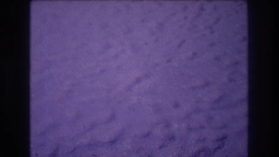 Textured stucco wall with purple 8mm film color shift after camera pans off the subject, Acapulco Mexico circa 1982.