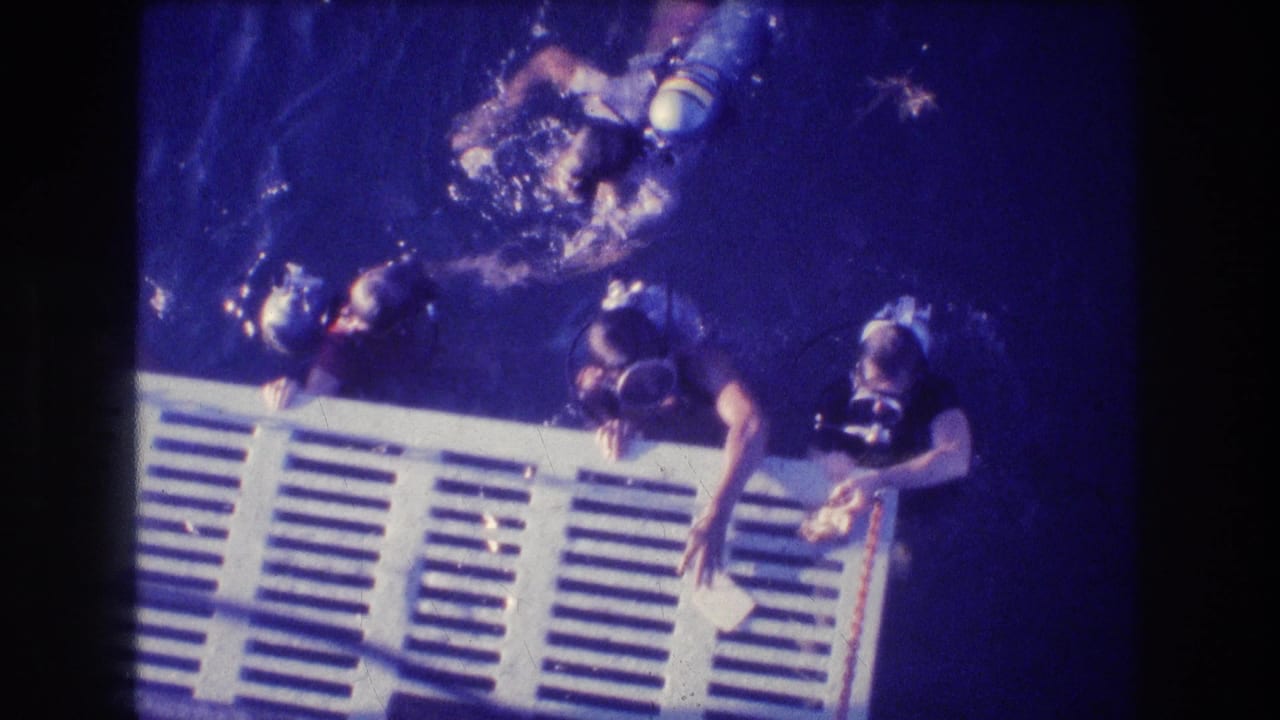 Several divers swim around a white slatted edge with bubbles in the water.