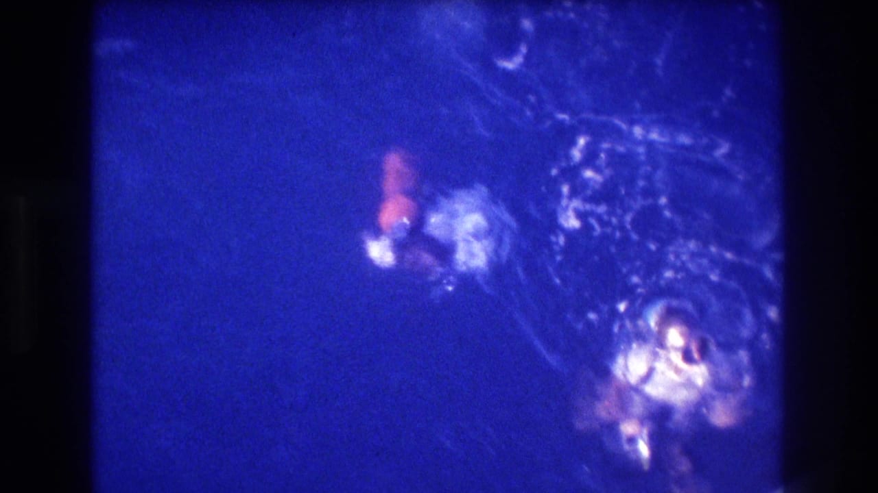 Swimmers seen from above in deep blue water with white bubbles and ripples.