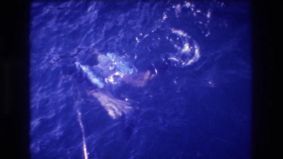 Overhead home-movie frame of two swimmers in blue-cast ocean; blue flotation device visible near one figure, Acapulco, Mexico, 1982.