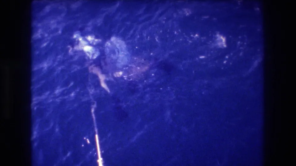 Two swimmers in heavily blue-shifted 8mm home movie footage, reportedly Acapulco, Mexico, 1982; a bright vertical object — possibly a snorkel — extends in the lower frame.