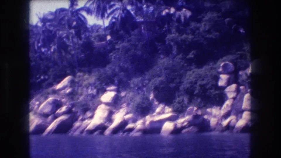 Dense tropical canopy over a boulder-strewn shoreline, likely Acapulco, Mexico, circa 1982; palms and foliage overhang the rocky coast; 8mm color cast.