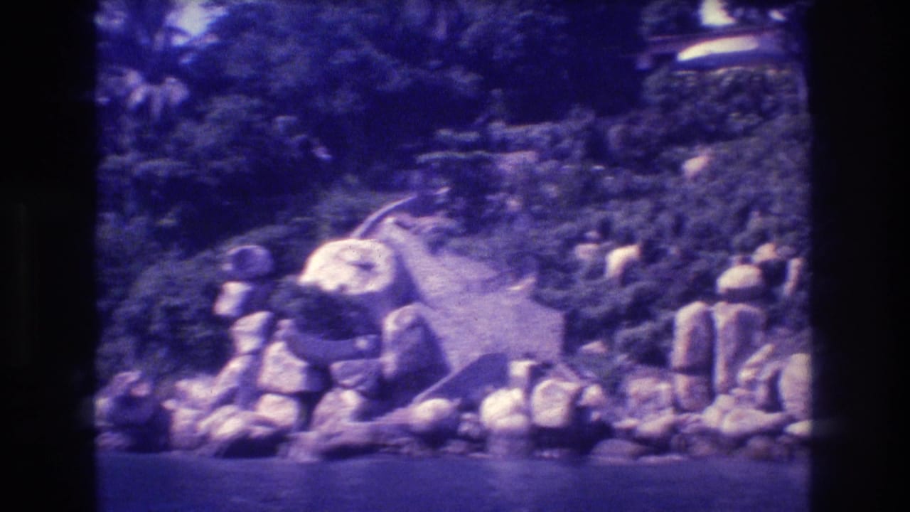Acapulco, Mexico, 1982 — mid-pan view of large boulders and tropical hillside vegetation with palm trees on aged 8mm home movie film.