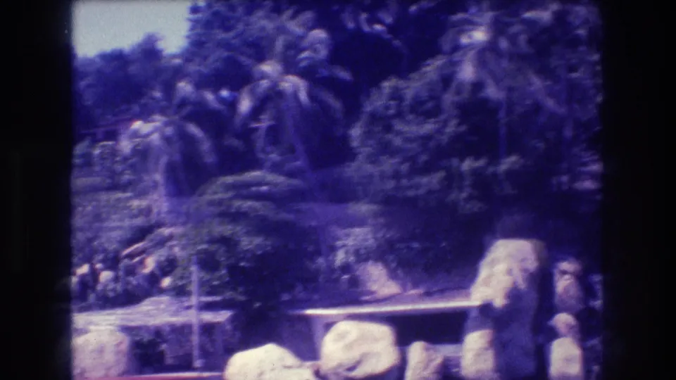 Large rounded boulders amid dense tropical foliage on an Acapulco shoreline, 8mm home movie circa 1982, with pronounced purple color shift.