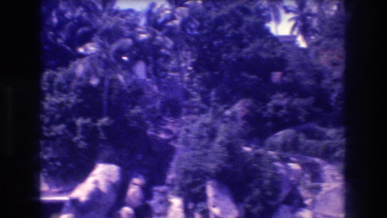 Palm trees and dense vegetation overhanging large boulders on an Acapulco coastline, 8mm footage from 1982 with heavy purple color cast.