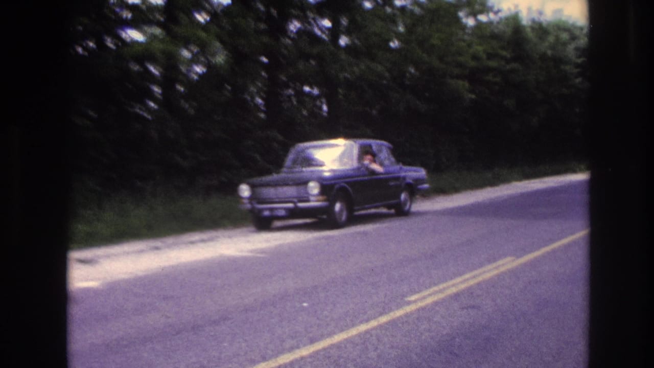 Dark blue European sedan on tree-lined two-lane road, viewed from front, person visible at driver's window.