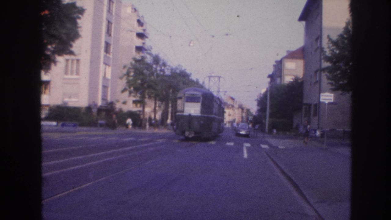 Trolley car ahead on a tree-lined city street with embedded tram tracks and a zebra crossing, shot from a moving vehicle.