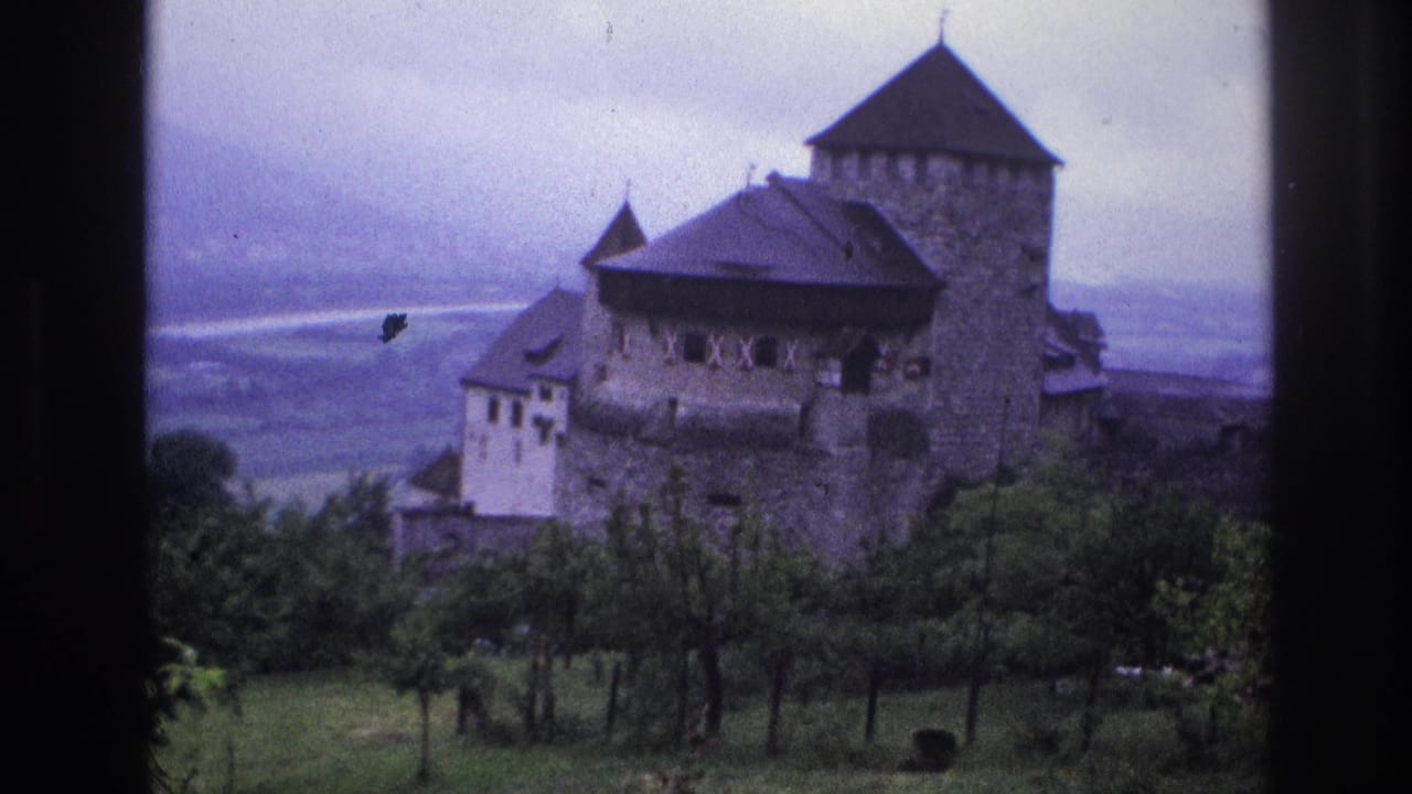 Fortified stone castle with dark pyramidal roofs seen from a hillside, purple-blue 8mm tint, hazy valley in background.