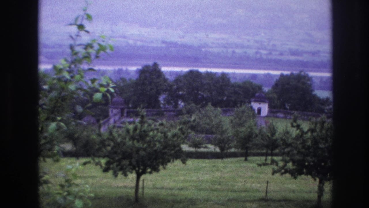 Valley overlook with a young sapling branch entering upper frame, the white-roofed structure visible in midground, and a distant hazy valley.