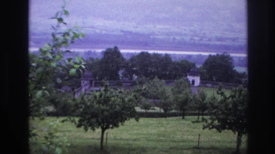 8mm travel footage, France circa 1967: slight reframe reveals a young sapling at upper frame as the overlook holds on green hills and a distant hazy valley.