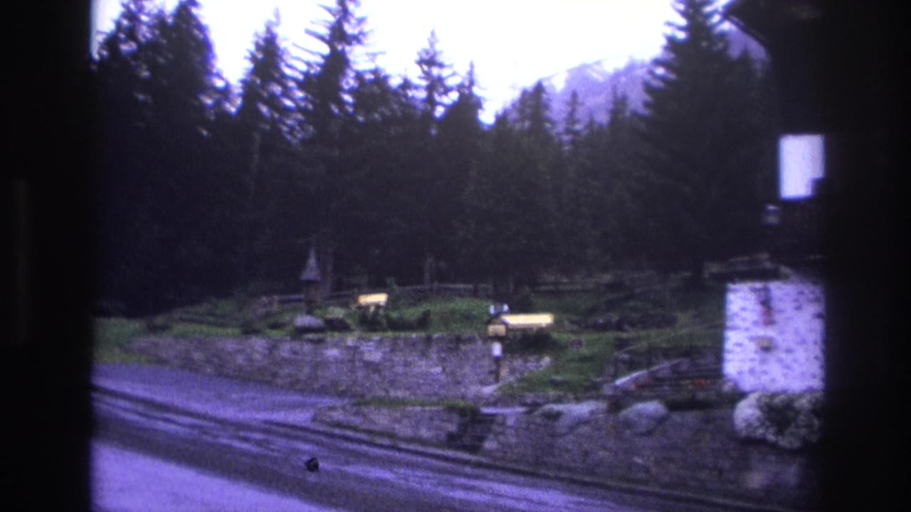 Mountain road with stone retaining wall and tall conifers, filmed in a French alpine setting circa 1967 on 8mm; strong purple color cast.