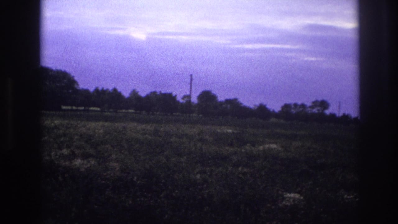 Rural landscape shot from a moving vehicle — flat field, purple sky, tree line and utility pole.
