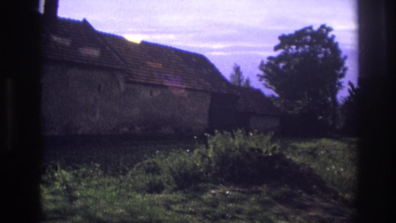 Side view of a rural house with tiled roof, garden plants, and trees.