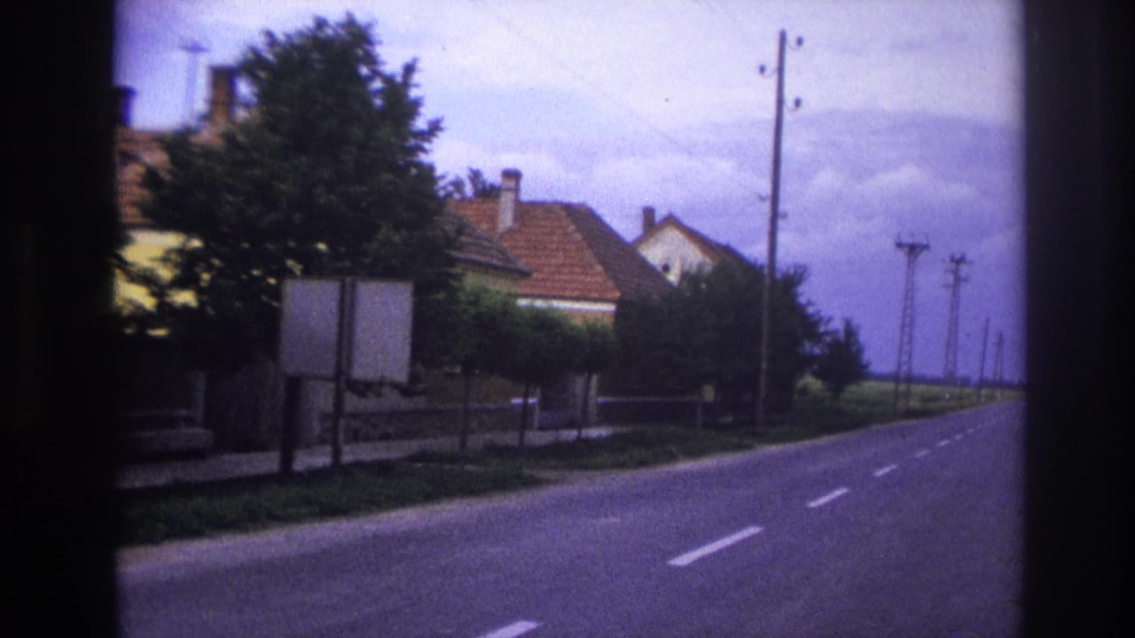 Tree-lined road with houses, hedges, telephone poles, and dashed white lane markings.
