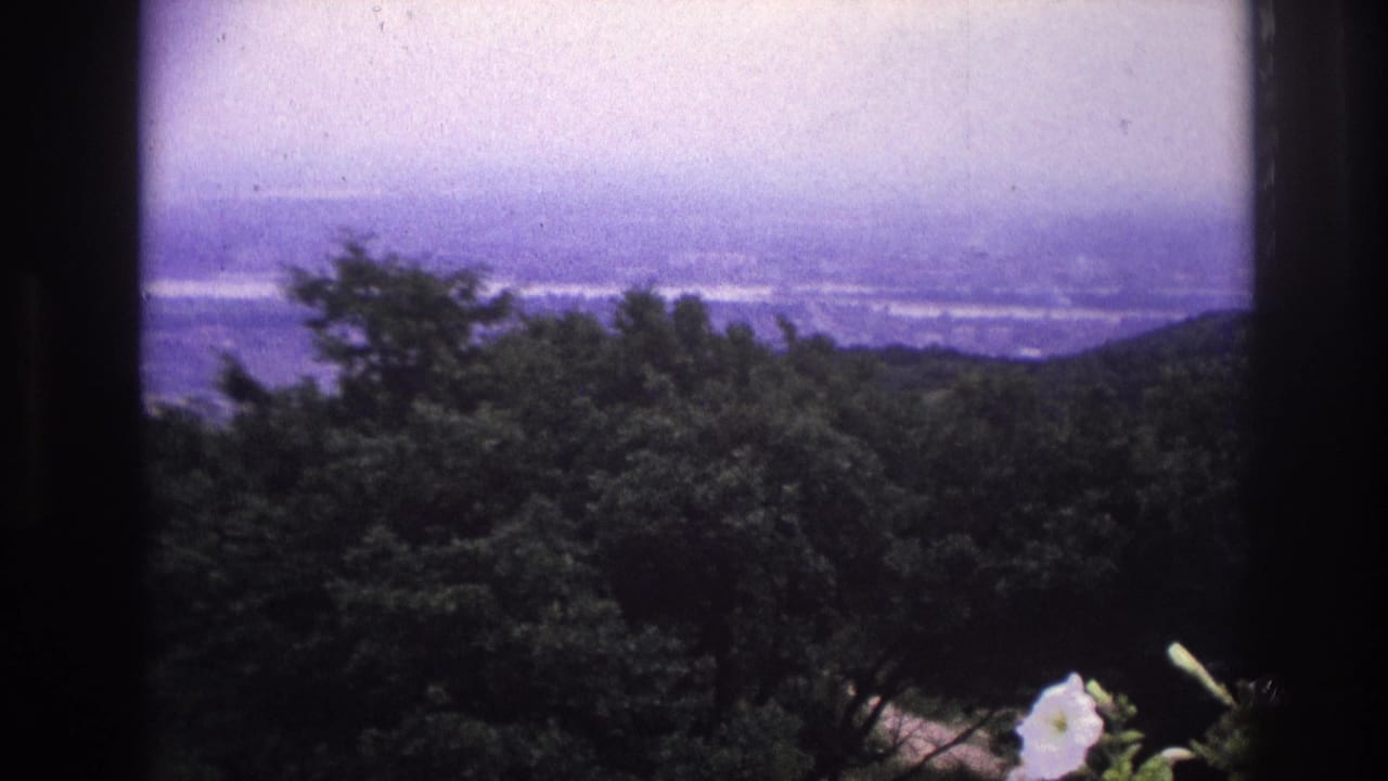 1967 France 8mm view of a wooded hillside and hazy distant panorama, with white flowers low in the frame.