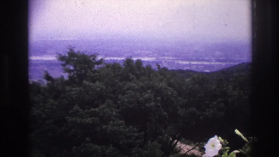1967 France 8mm view of a wooded hillside and hazy distant panorama, with white flowers low in the frame.