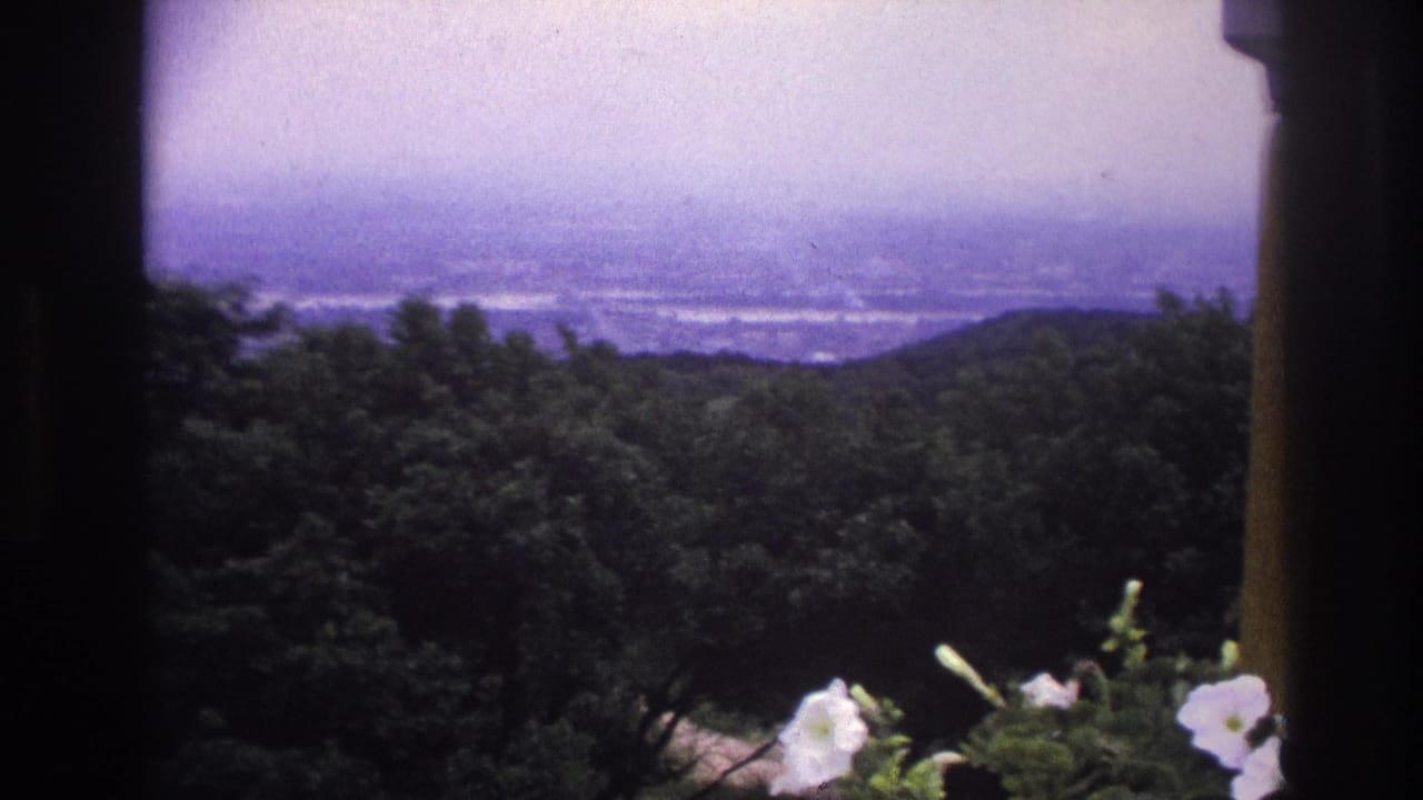 1967 France home-movie frame with white petunias in front of trees and a hazy distant view.